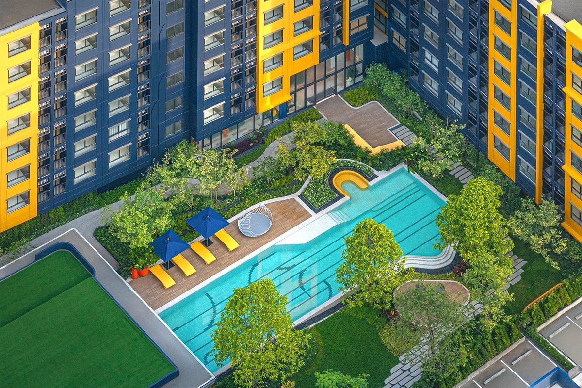 dcondo Shine Rangsit: Aerial view of the rectangular swimming pool, sun loungers, and garden area.